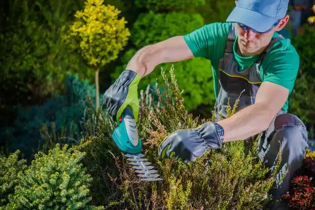 landscaping services Blauvelt